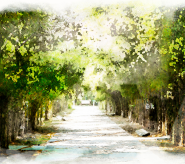 Best Paint by Numbers Kits for Nature Lovers