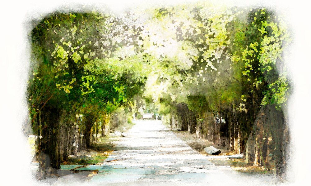Best Paint by Numbers Kits for Nature Lovers